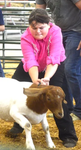 Canfield Fair gets underway